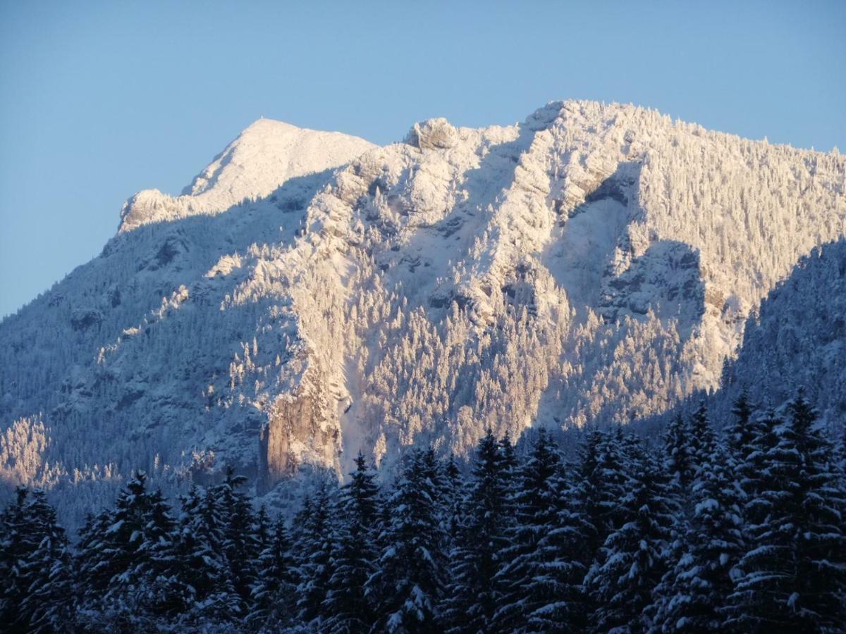 Haus Bergschmied Inzell Exterior foto